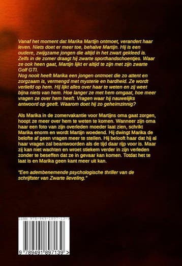 De trap naar de hemel 9789491897139 Susanne Koster, Verzenden, Zo goed als nieuw, Susanne Koster