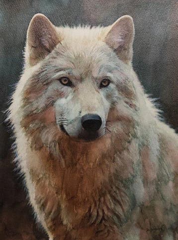 Davor Ivkovi (1965) - wolf