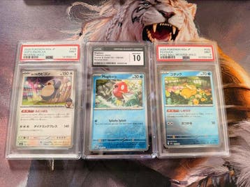 Pokémon - 3 Graded card - Vari - PSA, Nieuw