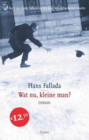 Wat nu, kleine man? - Hans Fallada 9789059364943, Verzenden, Gelezen, Hans Fallada