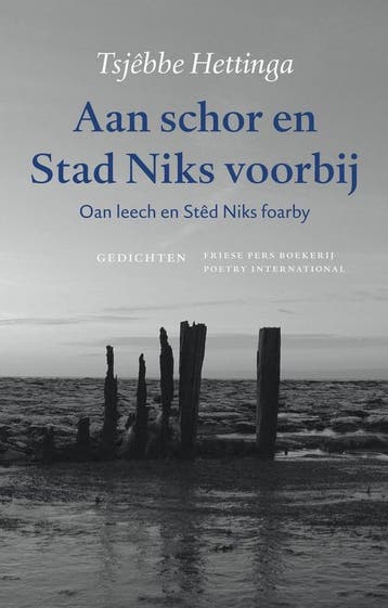 Aan schor en stad niks voorbij - T. Hettinga 9789033009143, Verzenden, Zo goed als nieuw, T. Hettinga