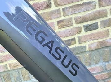 Nieuwe Pegasus Ravenna Evo / 60 of 65 cm. Belt. Bosch hmb., Fietsen en Brommers, Elektrische fietsen, Overige merken, Nieuw, Ophalen of Verzenden
