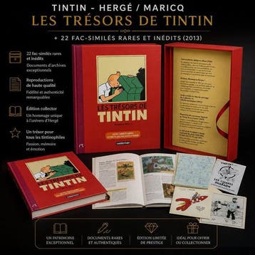 Tintin - Hergé / Maricq – De schatten van Tintin + 22, Boeken, Nieuw