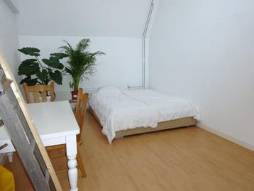 Kamer Scheveningsestraat in Noordwijk, Huizen en Kamers