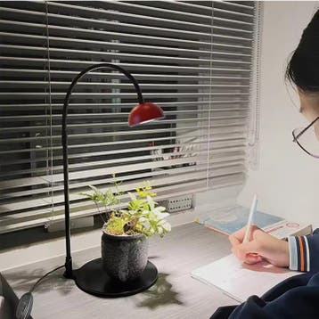 Plantengroeilamp met Timer – Verstelbare Terrarium Kweeklamp, Dieren en Toebehoren, Reptielen en Amfibieën | Toebehoren, Verzenden