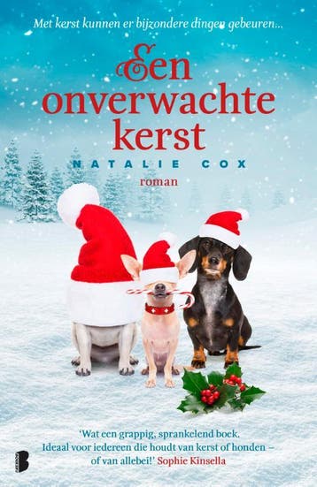 Een onverwachte kerst - Natalie Cox 9789022585726, Boeken, Verzenden, Zo goed als nieuw, Natalie Cox