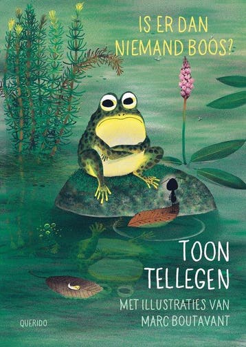 9789045116884 Boos 1 - Is er dan niemand boos?, Verzenden, Zo goed als nieuw, Toon Tellegen