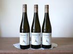 2018 Hirsch Ried Gaisberg: Kammern: Riesling, Grüner, Nieuw