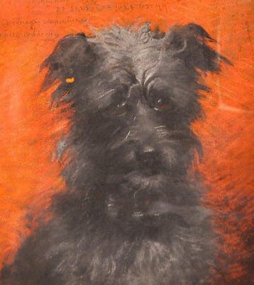 Louise Abbéma (1853-1927) - Portrait de chien / dédicace au, Antiek en Kunst
