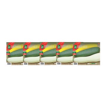 Courgettezaad | VT | 5 stuks (Multicolor), Verzenden