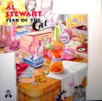 Al Stewart - Year Of The Cat, Ophalen of Verzenden, Gebruikt