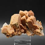Kasteel van Ortoclase en Kwarts, Alpino, Italië Kristallen