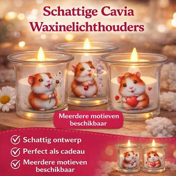 De leukste Cavia en Konijn Kado Artikelen vind je bij ons, Ophalen of Verzenden, Nieuw, Overige typen