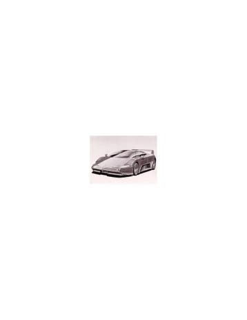 1991 MASERATI CHUBASCO PERSFOTO, Nieuw, Author