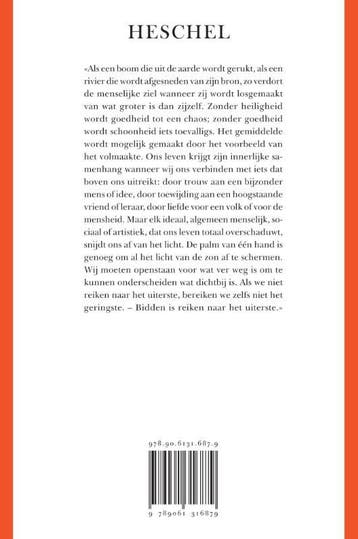 In het licht van zijn aangezicht 9789061316879, Boeken, Verzenden, Zo goed als nieuw, Abraham Joshua Heschel