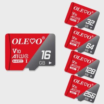 Snelle Mini SD Kaarten (4GB-64GB) - Class 10 TF Kaarten voor, Hobby en Vrije tijd, Denksport en Puzzels, Verzenden, Nieuw