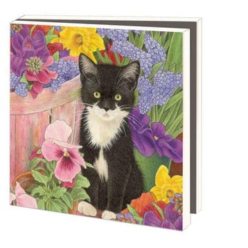 Kaartenmapje met env, vierkant: Franciens katten, Francien, Ophalen of Verzenden, Gelopen