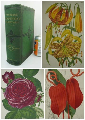 Robert Thompson, with new edition, revised and extended by