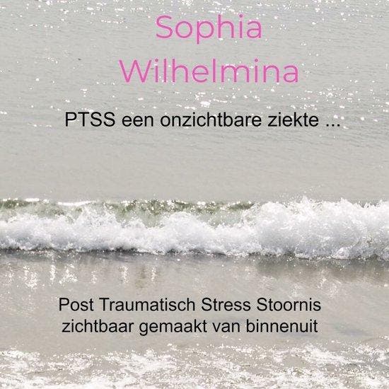 9789403668161 PTSS een onzichtbare ziekte ..., Boeken, Gezondheid, Dieet en Voeding, Nieuw, Verzenden