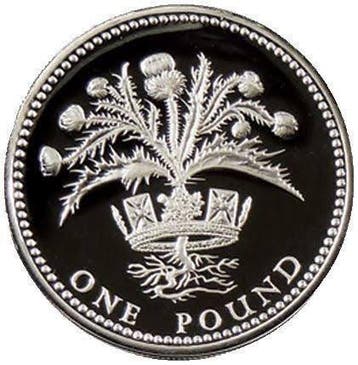 Verenigd Koninkrijk. 1 Pound 1984 Scottish Thistle  Proof