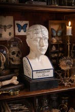 Beeld, Phrenology Head 28.5cm - 28.5 cm - Porselein - 2026, Antiek en Kunst, Curiosa en Brocante