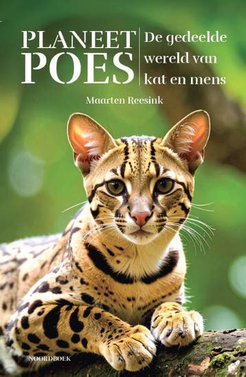 Planeet Poes | Maarten Reesink | Nieuw, Ophalen of Verzenden, Nieuw, Maarten Reesink