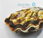 cd digi - Zijlstra - Samen In Zee, Cd's en Dvd's, Verzenden, Zo goed als nieuw