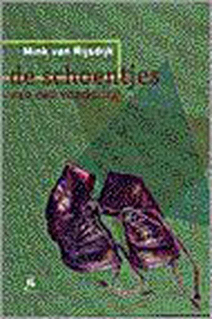 SCHOENTJES VAN DE VONDELING 9789056950231 M. van Rijsdijk, Boeken, Geschiedenis | Wereld, Gelezen, Verzenden