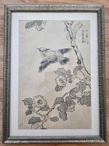 Set of 5 Japanese Woodblock Prints - Kacho-e (Birds and
