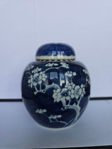 Ginger Jar Guangxu-periode (1875–1908) - Porselein - China -