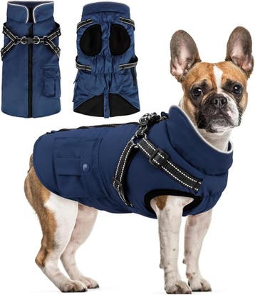 Waterdichte Hondenjas S | Tweedekansje | OP=OP, Dieren en Toebehoren, Hondenkleding, Ophalen of Verzenden, Nieuw, Hondenjas