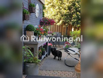 Nijmegen: Gezellig huis met 4 kamers