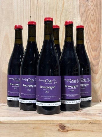 2023 Marc Soyard - Bourgogne Rouge - Coteaux de Dijon - 6, Nieuw
