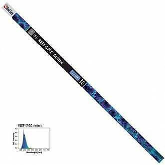 Red Sea T5 TL buis 54 watt - Actinic blue 22.000K, Ophalen of Verzenden, Nieuw