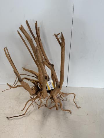 Boutique Stump Selected BS283 - 73x49x50cm (Natuurlijk hout), Ophalen of Verzenden, Nieuw, Plant(en), Steen of Hout