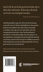 Het geheim van David 9789043539173 Henk Binnendijk, Verzenden, Zo goed als nieuw, Henk Binnendijk