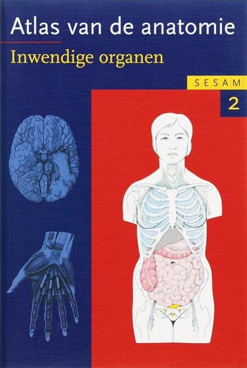 Sesam Atlas Van De Anatomie 2 Inwendige Organe 9789055744985, Boeken, Studieboeken en Cursussen, Verzenden, Zo goed als nieuw
