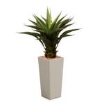 Zijden kunstplanten, diverse soorten & maten, met sierpotten, Huis en Inrichting, Kamerplanten, Ophalen of Verzenden, Overige soorten
