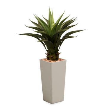 Zijden kunstplanten, diverse soorten & maten, met sierpotten, Ophalen of Verzenden, Overige soorten, In pot