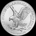 1 Troy Ounce - Zilver .999 - Eagle coin 2026 - 31,1 gram -
