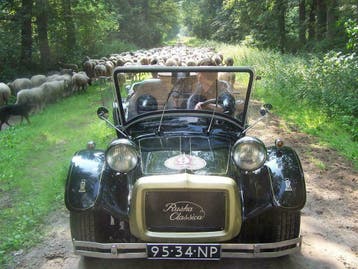Buggy huren Bedrijfsuitje Familiefeest Receptie Drenthe, Overige activiteiten
