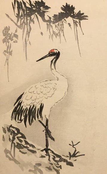 Japanse kraanvogel - Onbekende kunstenaar - Japan - Meiji