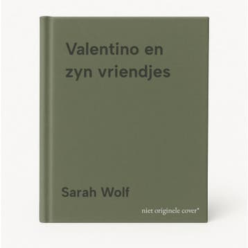 Valentino en zyn vriendjes - Sarah Wolf 9789072718334, Boeken, Verzenden, Gelezen, Sarah Wolf