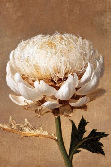 Iconica - Imperial Bloom: Gilded Thistle - unique 1/1 XXL