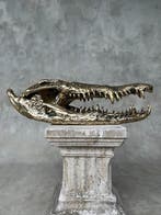 sculptuur, Large Saltwater Crocodile Skull fashioned in