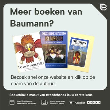 Joachim de douanebeambte 9789061939313 Baumann, Boeken, Verzenden, Gelezen, Baumann