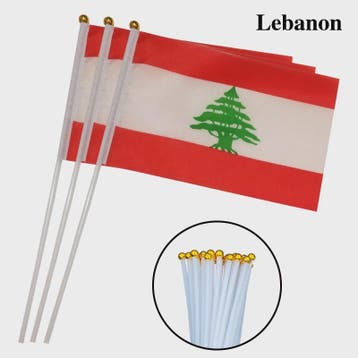 Libanon Handvlag 14x21cm - Plastic Stokje voor Feesten en Ev, Diversen, Verzenden, Nieuw