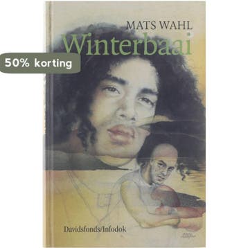 Winterbaai / Davidsfonds/Infodok-jeugd - M. Wahl, Boeken, Verzenden, Zo goed als nieuw, M. Wahl