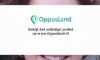 Ik ben Oppas en ik zoek oppaswerk in Apeldoorn., Diensten en Vakmensen