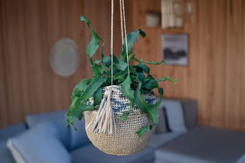 Haakpatroon Plantenhanger van Rafia met kwastjes - zomers, Ophalen of Verzenden, Nieuw